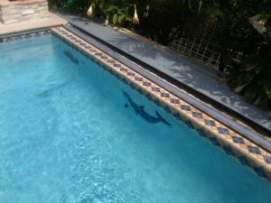Pool Covers #004 by Quality Custom Pools